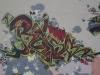 099_Reso(SP,VMD)_Lyon_2004