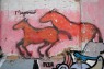 horse-graffiti7