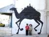 sam3_camel