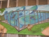 Cluj_Napoca-Romania (3)