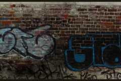 DST Crew