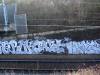 156_Peruk(BG)+Papot(BG)+Nouille(PTF)_Nevers_2005