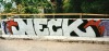 33_Neck(ARS)_Troyes_2000