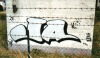 41_Ja(T.C)_Troyes_2000