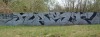 51_Nast(VFF)_Troyes_2002