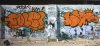 81_Cole(VFF)+Neas(VFF)_Marseille_2005