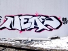 109_Neas(VFF)_Troyes_2005