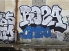 148_Reza(FDS,OFM)_Montpellier_2005