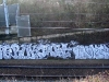 156_Peruk(BG)+Papot(BG)+Nouille(PTF)_Nevers_2005