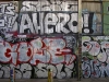217_Lyon_2005