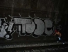 265_Tode(TSP,IC)_Paris_2005