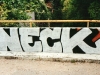 33_Neck(ARS)_Troyes_2000