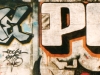 50_Roya(3DS,VFF)+Pyer(3DS,VFF)_Metz_2002