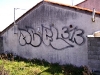 56_Abel(313)_Toulouse