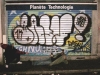 37_Dasy(1K,TSP)_Paris_2004