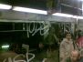France - tags