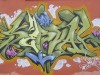 091_Serval(TZP)_Lyon_2004