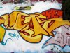 168_Neas(VFF)_Troyes_2004