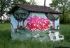 243_Cizo(BCV)_Montauban_2005