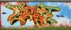 259_Cyste_Reims_2005