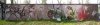 341_Corail+Gutter_Toulouse