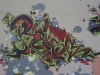 099_Reso(SP,VMD)_Lyon_2004