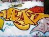 168_Neas(VFF)_Troyes_2004