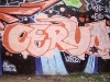 170_Cervo(WS3)_Troyes_2004