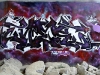 177_Nes(LCF)_Toulouse_2005