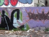 309_Lime(W73)+Rome_Toulouse_2005