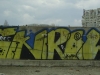 81