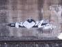 ODS Crew