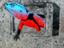 Stencils - Galway, Ireland