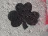 Hull-Ireland (17)