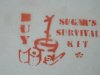 Cluj_Napoca-Romania (19)