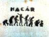 hacar