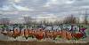 Image00248