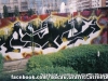 Image00251