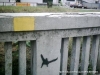 Image00284