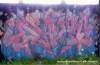 Image00354