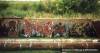 Image00374
