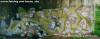Image00424