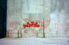 Image00483