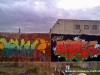 Image00173