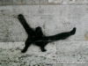 Image00276