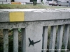 Image00284