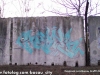 Image00393