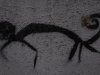 insect-2