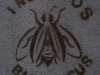 insect-9