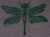 insect